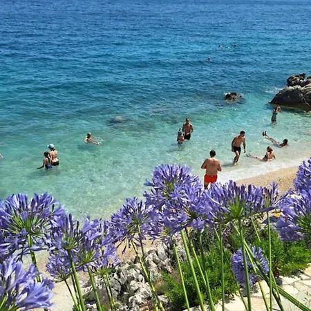 O'live 2 Bdr Istra * Rabac