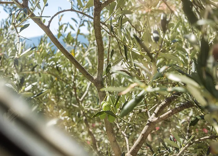 O'live Istra Appartement Rabac